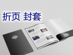 天津印刷厂承接各种 彩色宣传单印刷 企业宣传单印刷