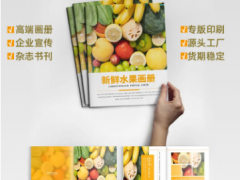 合肥企业宣传画册印刷 产品说明书印刷 彩页设计